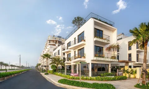 4 giá trị cốt lõi tạo sức hút của Vlasta – Sầm Sơn