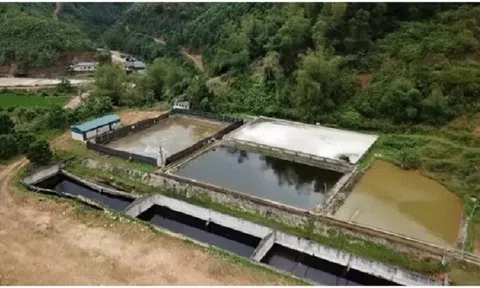 Công ty Thuận Phát ngang nhiên xả thải ra suối Cái