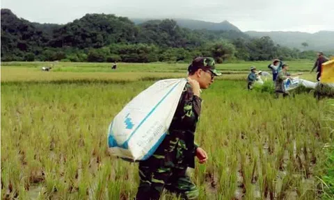 “Chống dịch thành công, ba sẽ về đưa con vào Huế điều trị…”
