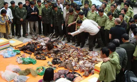 Cấm các chợ, nhà hàng bán động vật hoang dã, cấm cán bộ nhà nước ăn thịt rừng
