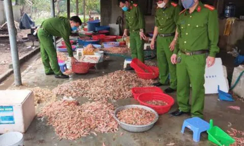 Phát hiện cơ sở chế biến tôm hôi thối thành tôm nõn bán giá cao