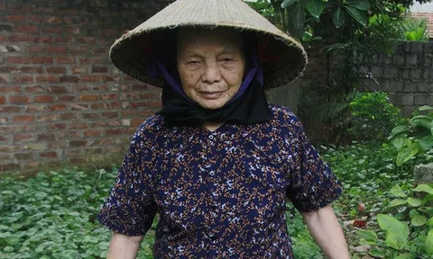 Xúc động cụ bà 79 tuổi bán từng mớ rau lấy tiền ủng hộ phòng chống dịch Covid-19