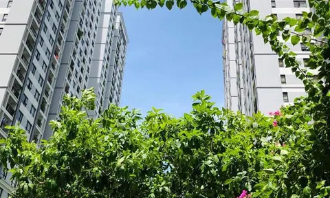 Nghị định 91/2020/NĐ-CP: 'Thuốc đặc trị' cho cuộc gọi 'rác' chào mua nhà, đất