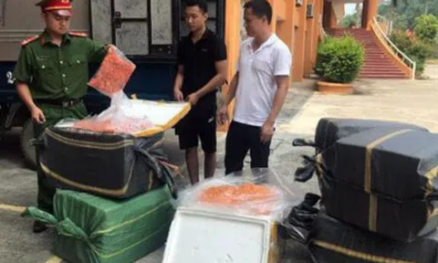 Lào Cai phát hiện 3,5 tạ trứng gà non đông lạnh không rõ nguồn gốc