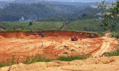 Từ TP.HCM lên huyện Bảo Lâm, Lâm Đồng “xẻ thịt” đất lâm nghiệp