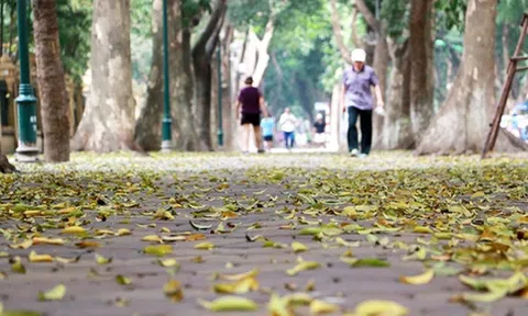 Miền Bắc mưa rét về đêm và sáng, trưa chiều hửng nắng