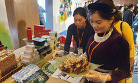 Cánh cửa mới cho du lịch TP.HCM tiếp cận thị trường vùng Đông Bắc