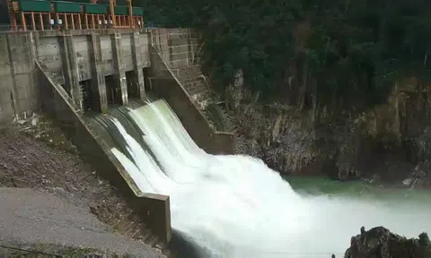 Thừa Thiên - Huế đề nghị tước quyền sử dụng, thu hồi giấy phép của thủy điện Thượng Nhật