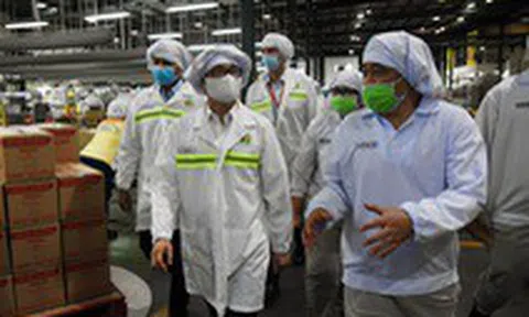 Phó thủ tướng Vũ Đức Đam: Bằng mọi cách không để có dịch trong cộng đồng