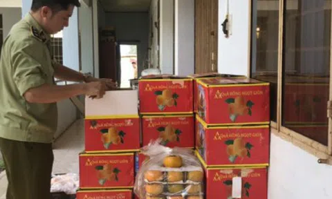 Bắt giữ gần 1,2 tấn trái cây nhập lậu đang tuồn ra thị trường