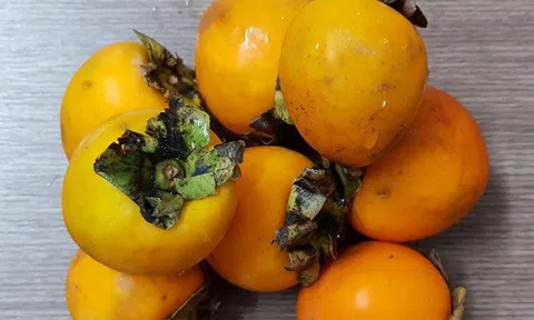 Cụ ông 63 tuổi bị tắc ruột vì ăn quá nhiều hồng