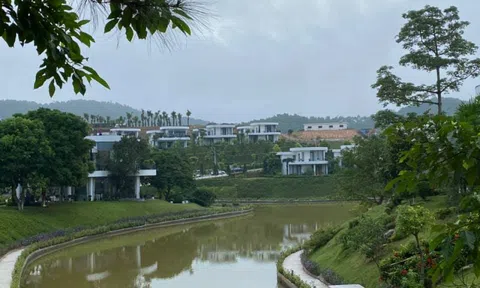 Chưa thấy dấu hiệu cực đoan của thị trường bất động sản