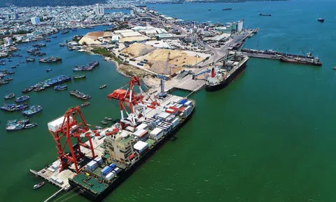 Lo sức hấp dẫn của cổ phiếu Cảng Quy Nhơn trước thềm niêm yết