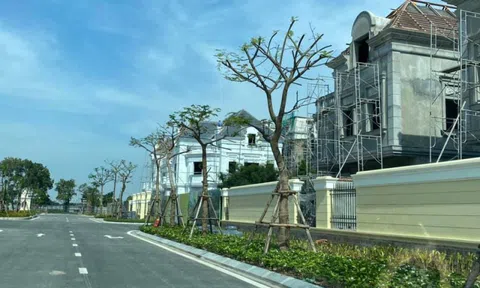 Bất động sản đang hút dòng tiền lớn