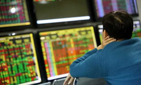 VAFI phản đối kế hoạch tăng lô giao dịch tối thiểu lên 100 cổ phiếu của HOSE