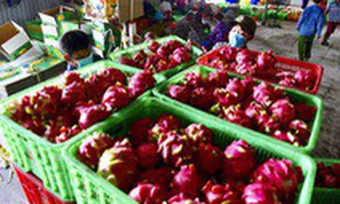 Việt Nam đạt mức xuất siêu kỷ lục 20 tỉ USD