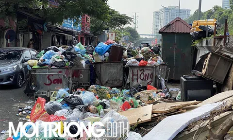 Dân khổ vì rác bởi năng lực thu gom của Công ty Minh Quân
