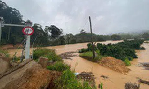 Nước lũ cuốn mất tích 2 du khách trong Vườn quốc gia Bidoup, Núi Bà