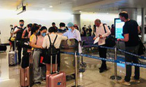 Tổ chức bay về nước, công dân Việt Nam trả toàn bộ chi phí cho hãng bay