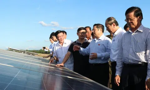 Tận dụng phát triển năng lượng mặt trời với đất nông nghiệp kém