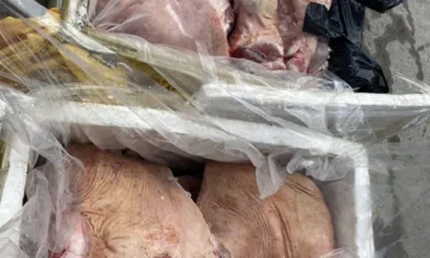 Hà Giang: Tiêu hủy gần 300 kg thịt lợn đông lạnh không nguồn gốc xuất xứ