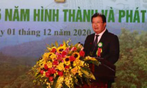 Lâm sản xuất siêu trên 10 tỉ USD, cao nhất từ trước đến nay