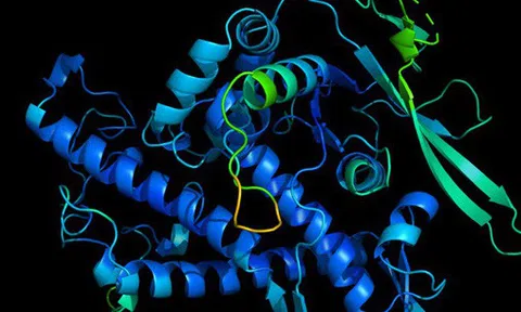 Đột phá: AI của DeepMind giải thành công phần lớn cấu trúc protein, giúp ta hiểu rõ cả bệnh tật lẫn thuốc thang