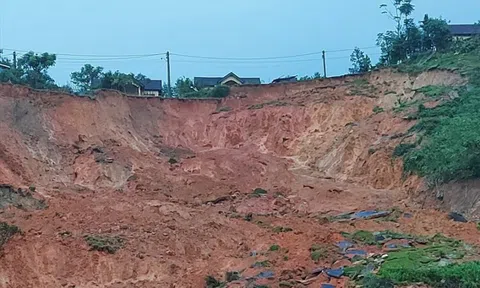 Tiếp tục sạt lở kinh hoàng ở Quảng Ngãi, khẩn cấp di dời nhiều hộ dân
