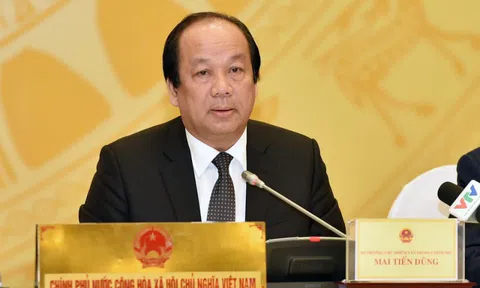 Đình chỉ Trưởng đoàn tiếp viên hàng không của Vietnam Airlines