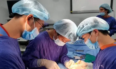 Gặp nạn khi uống rượu ba kích: Để không bị 'bổ ngửa' khi uống rượu bổ