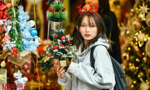 Hàng Mã rực rỡ sắc màu đón Noel
