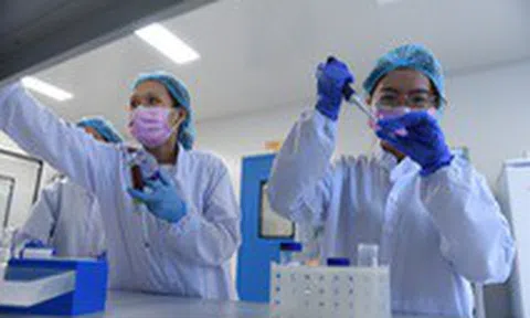 Ngày 10-12 bắt đầu tiêm thử vắc xin COVID-19 'made in Việt Nam' cho 20 người