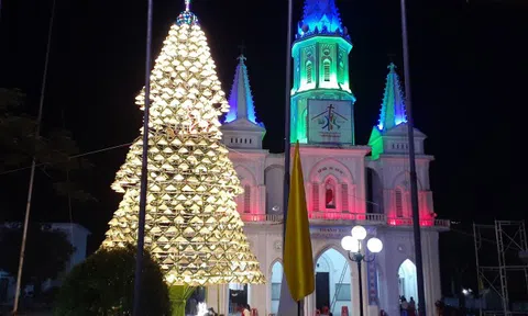 Độc đáo cây thông noel được kết từ 1.000 chiếc nón ảo diệu