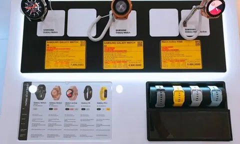 Thế Giới Di Động chiếm lĩnh phân nửa thị trường bán lẻ đồng hồ thông minh từ mô hình shop-in-shop