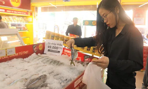 Thịt đội giá, bà nội trợ đổ xô đến Bách Hóa Xanh săn cá nhập khẩu 49k
