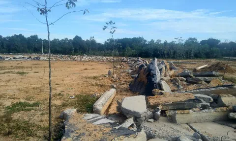 HoREA kiến nghị bãi bỏ quy định tách thửa đối với từng loại đất