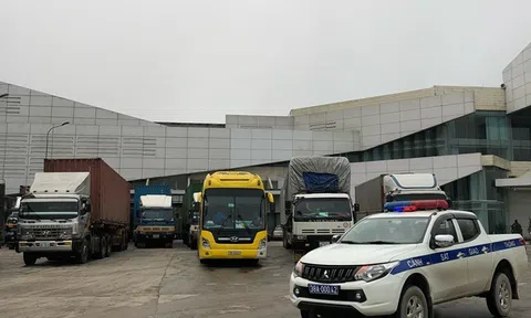 Doanh nghiệp "mắc kẹt" với quy định tạm nhập, tái xuất