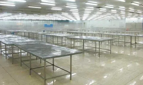 Công ty cho nhân viên nghỉ việc vì dịch bệnh – luật quy định thế nào?