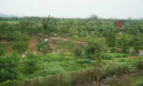 Tiềm ẩn nguy cơ băm nát đô thị ở Bắc Ninh?