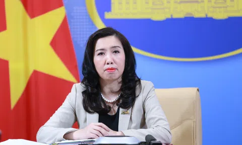 Bộ Ngoại giao thông tin về việc hỗ trợ nhu cầu về nước của người Việt Nam ở nước ngoài