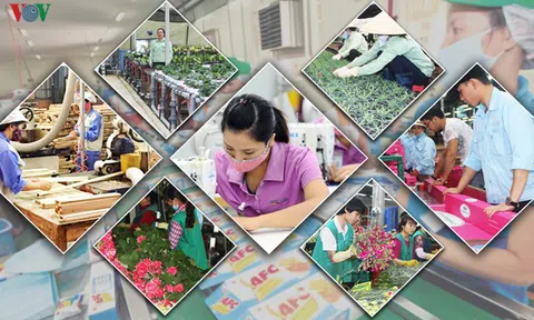 Tăng độ đàn hồi cho “lò xo” kinh tế