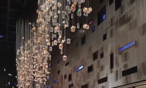 Cocolighting: Nguồn cảm hứng bất tận