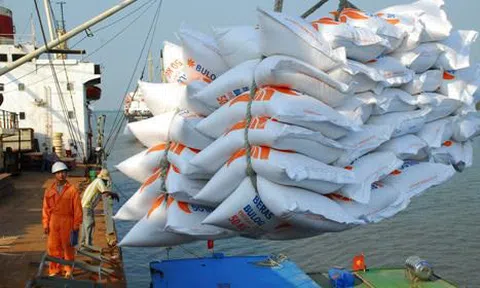 Doanh nghiệp được ứng trước hạn ngạch xuất 100.000 tấn gạo