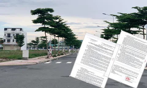 Bình Dương kết luận thanh tra hàng loạt dự án bất động sản, nhà ở