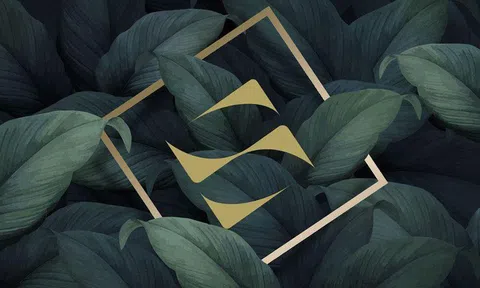 Sonkim Land ra mắt nhận diện thương hiệu mới, khẳng định cam kết với khách hàng